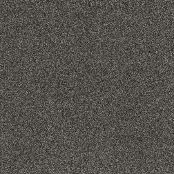Home Decorators Collection Serene Glory I-Steady Gray-40 oz. SD Polyester Texture Installed Carpet