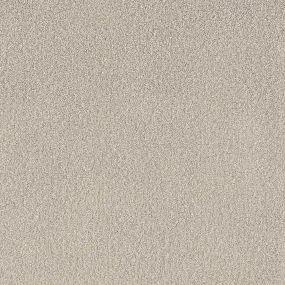 8 in. x 8 in. Texture Carpet Sample - Soft Breath Plus II -Color Florence price history on PriceWatchPro