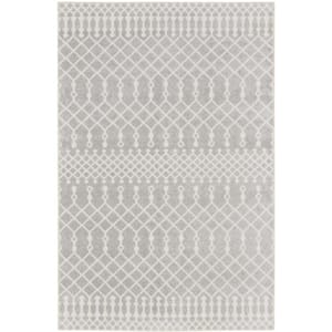 Astra Machine Washable Grey 2 ft. x 4 ft. Moroccan Transitional Kitchen Area Rug