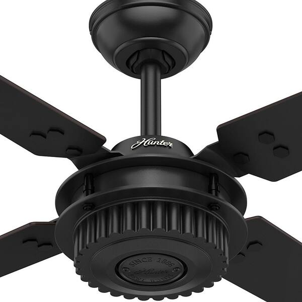 Outdoor Ceiling Fan with Wall Control Matte Black 54 Hunter Chronicle Industrial Indoor