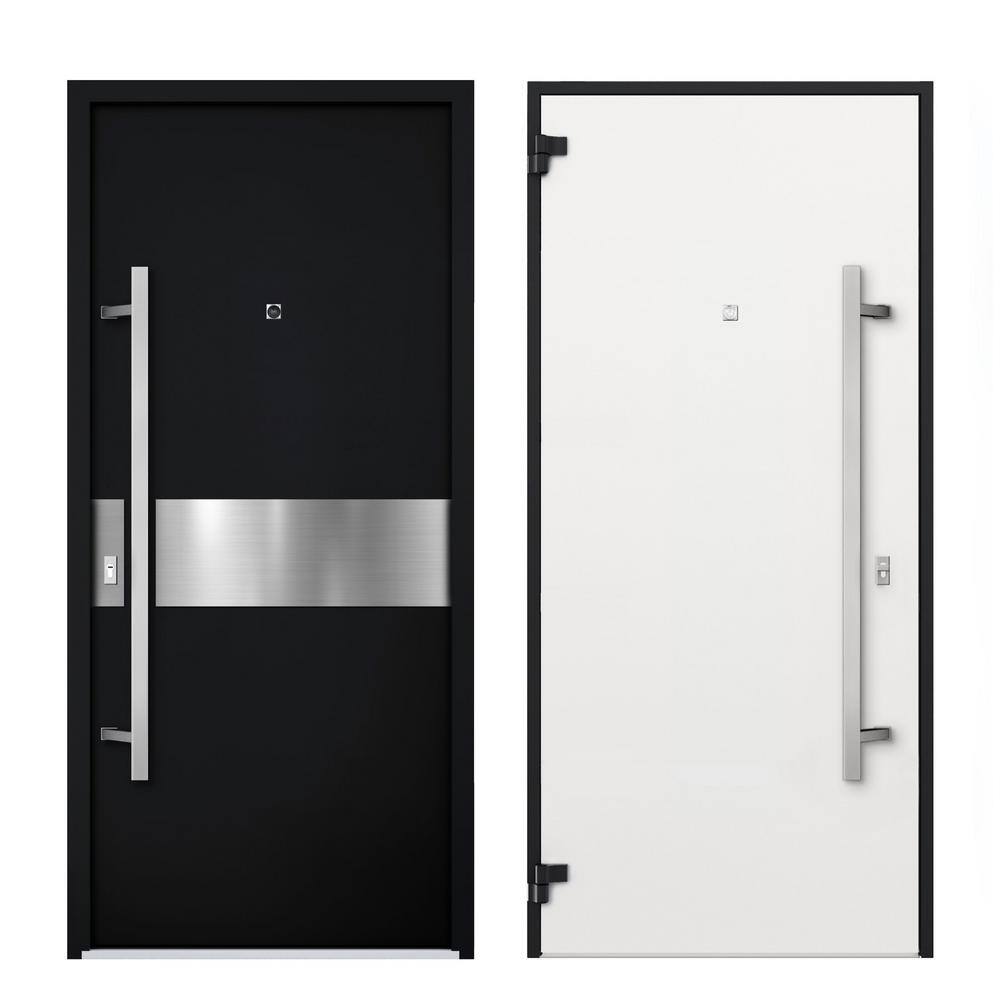 Modern Black Enamel Steel Double Door with Sidelites