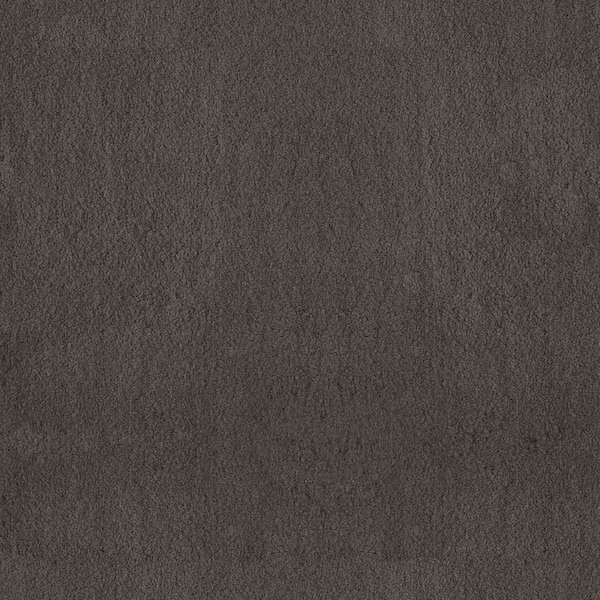 Lifeproof Dreamy Daze II Reese Gray 66 oz. Nylon Texture Installed Carpet
