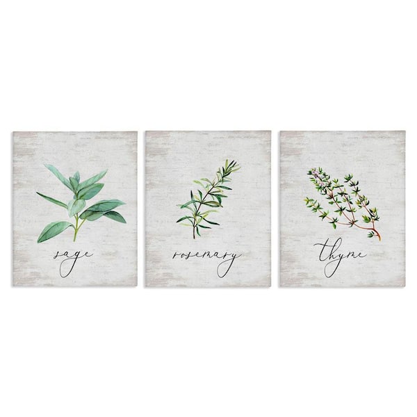 Charming Summer Kitchen Herbs by Lettered and Lined 3-Pieces Unframed Typography Graphic Art Print 20 in. x 16 in.