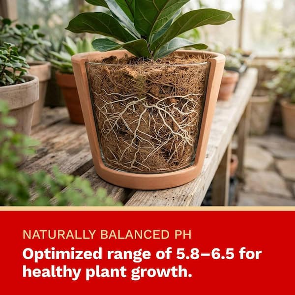 THE HARVEST COMPANY 2 cu. ft. Coco Coir Compressed Premium Plant