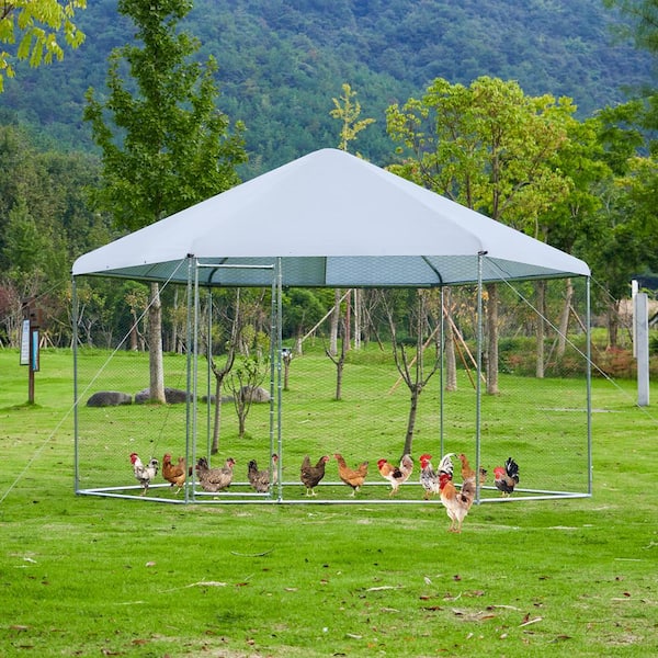 FIROMO 13.1 ft. x 8.6 ft. Hexagonal Large Metal Chicken Coop, Walk-in with Oxford Fabric Waterproof Cover, Lockable, White