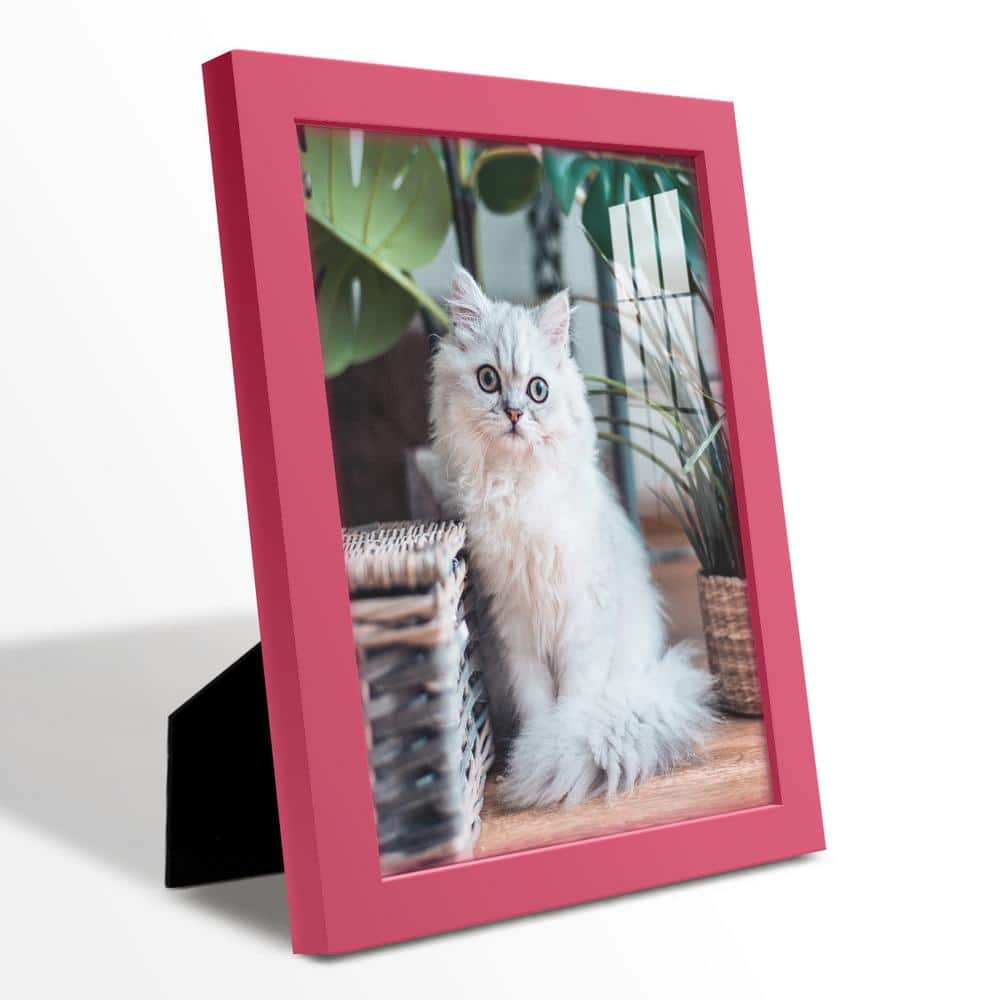 Modern Hot Pink 8x10 Wooden Picture Frame Set