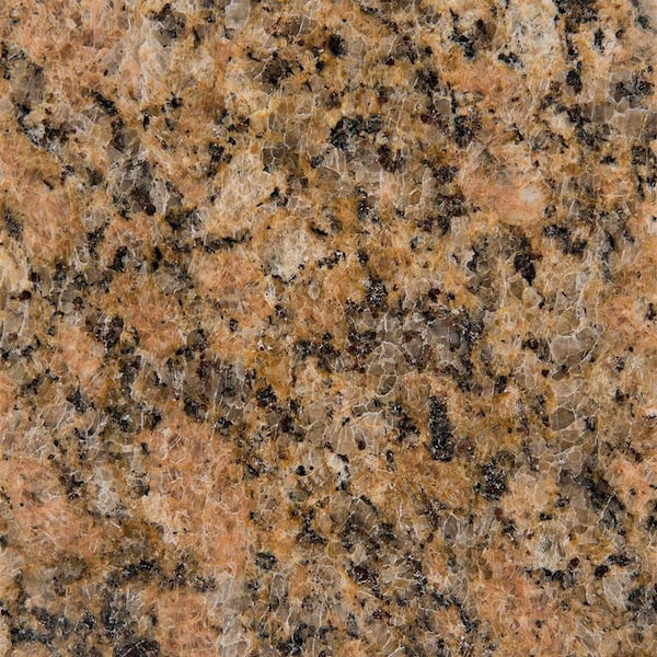 Stonemark Granite 3 in. Granite Countertop Sample in Giallo Veneziano