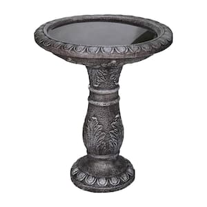 What is the Process for Government Bird Bath: Step-by-Step Guide