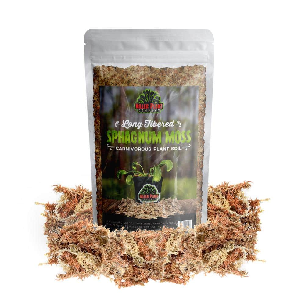 Long Fibered Sphagnum Peat Moss (4 Quarts), All Natural Dried Moss for  Orchids, Carnivorous Plants, Decorating, Terrariums 