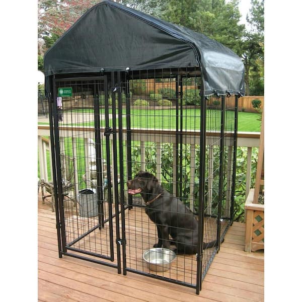 Fobie Af en toe hoop American Kennel Club 4 ft. x 4 ft. x 6 ft. Uptown Premium Outdoor Welded  Wire Dog Kennel Kit 308605AKC - The Home Depot