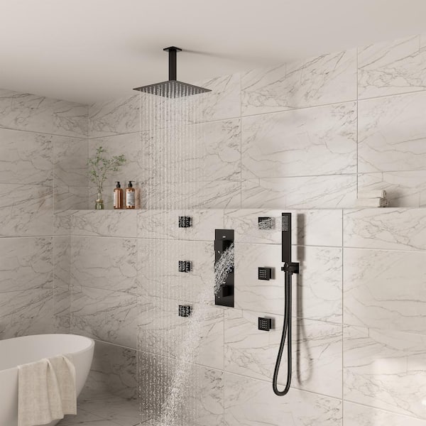 Luxury 3-Spray 12 in. Dual Shower Head and Handheld Shower Head Ceiling Mount 2.5 GPM with 6-Body Jets in Matte Black