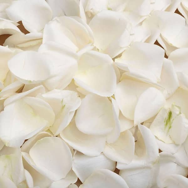 430 Rose Petal Bath Stock Photos, High-Res Pictures, and Images