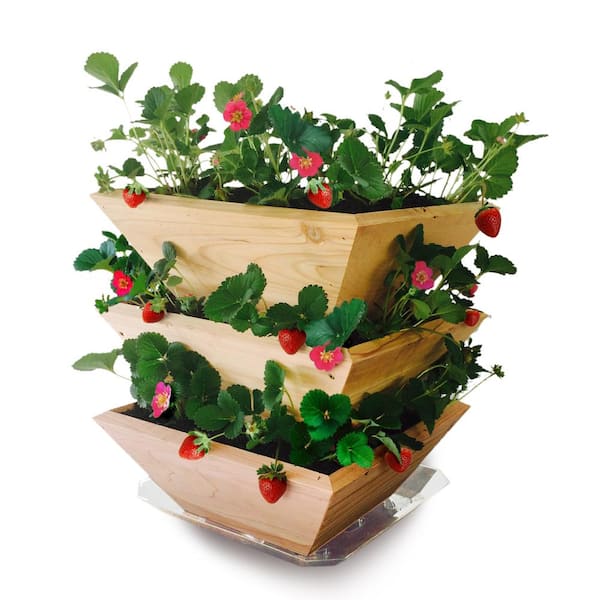 Unbranded Architec Home Grown Gourmet Strawberry Patch Tower