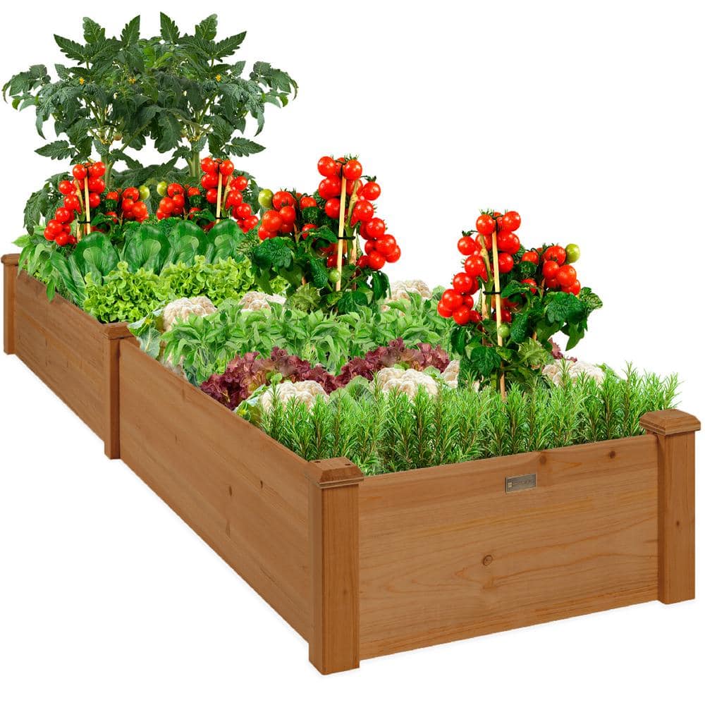 Acorn Brown 8x2ft Outdoor Fir Wood Raised Garden Bed Planter