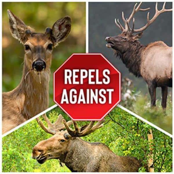 ANIMAL STOPPER - Deer Stopper Animal Repellent, 32 oz. Ready-to-Use