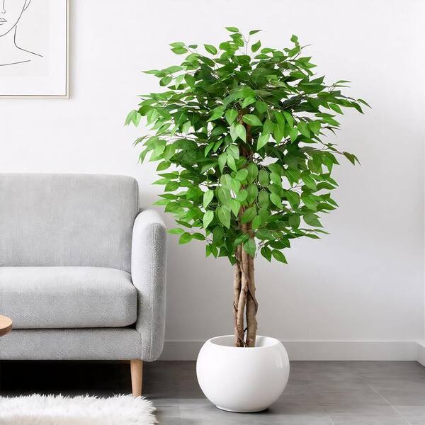 5 ft. Ficus Artificial Olive Tree in Pot LAN1Y102 - The Home Depot