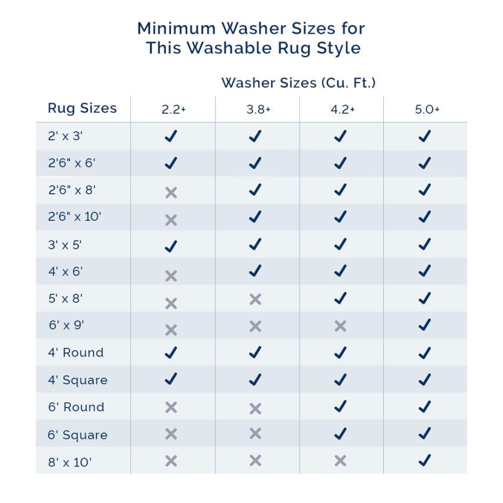 Gray 2' x 3' Machine Washable Shag Area Rug