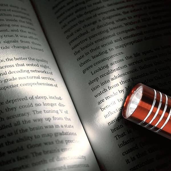60 Lumens Aluminum Flashlight (8-Pack)