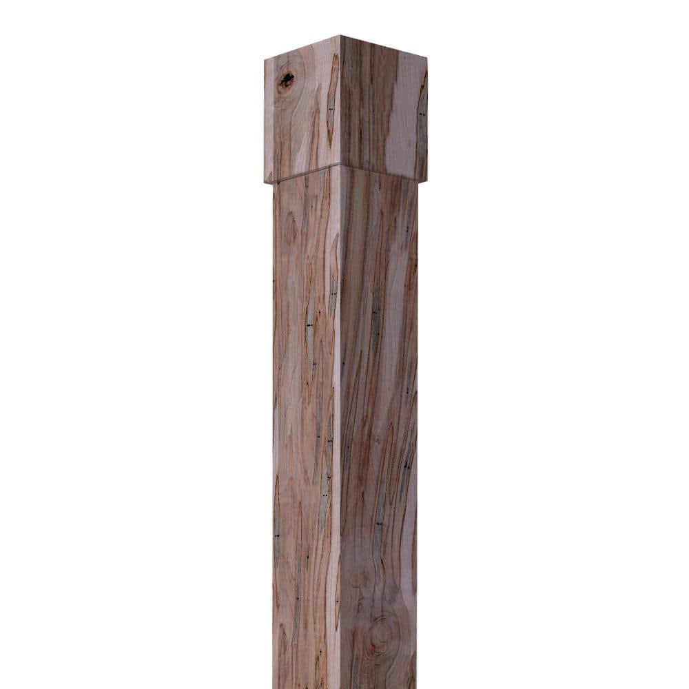 Unfinished Rustic Ambrosia Maple Column Wrap, 8.66 Feet