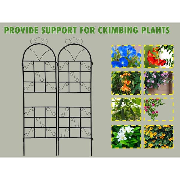 Cesicia 72 in. H Iron Garden Trellis for Climbing Plants Support (2-Pieces)