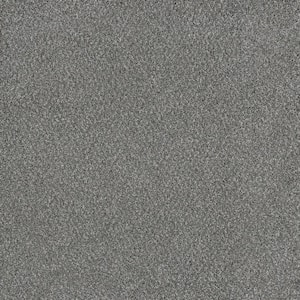 Jack Bay II - Vision - Gray 65 oz. SD Polyester Texture Installed Carpet