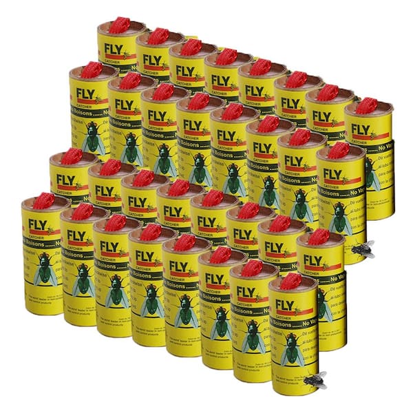 Lightsmax Yellow Sticky Insects Flies Gnats Strips Catcher Trap 32 Pieces Frnx32 The Home Depot