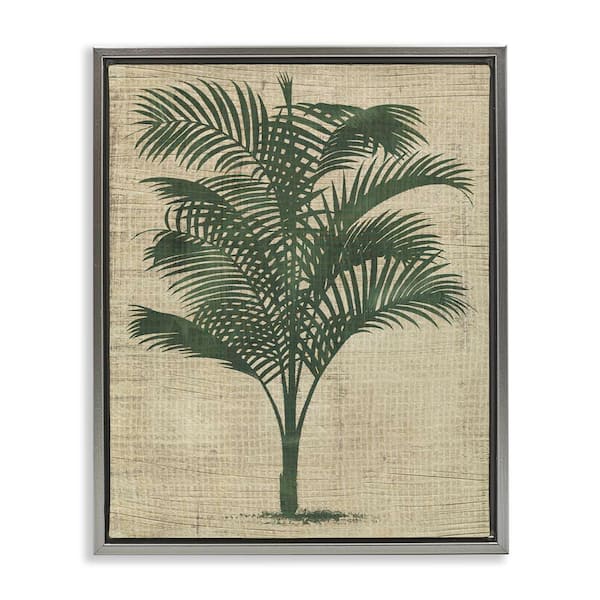 Stupell Industries Vintage Palm Plant by June Erica Vess Gray Floater Frame Nature Graphic Art Print 31 in. x 25 in.