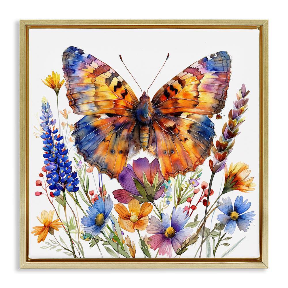 Orange and Blue Butterfly by LSR Design Studio Gold Floater Frame Animal Graphic Art Print 25 in. x 25 in. price history on PriceWatchPro