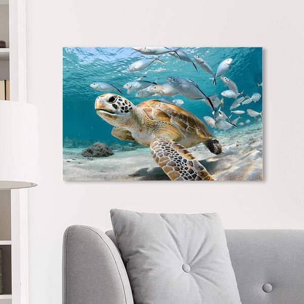 VENICE BEACH Collections Under the Sea Animals by Unknown 1
