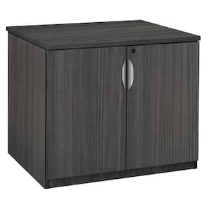 Magons Ash Grey 29 in. Storage Accent Cabinet