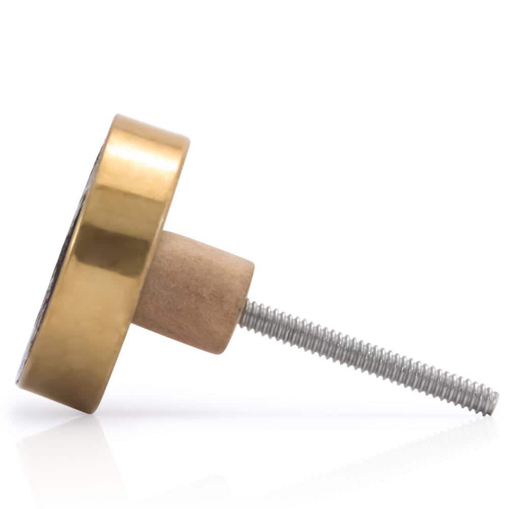 Modern Brass Round Knob with Mounting Hardware