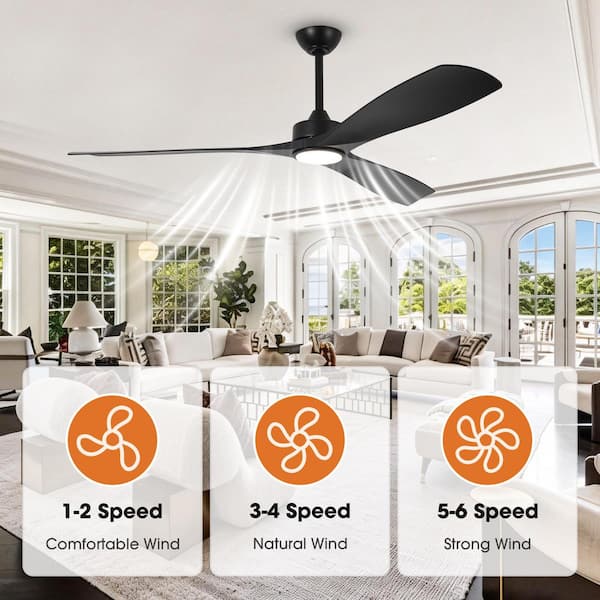 Parrot Uncle 60 in. Black Downrod Mount Standard Ceiling Fan with