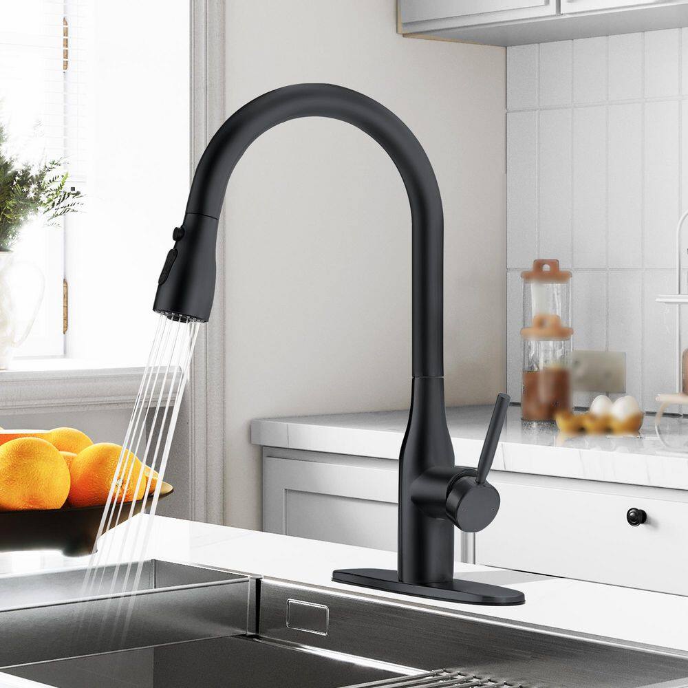 16.9 in. Matte Black Single-Handle Pull-Down Sprayer Kitchen Faucet with 360 ° Swivel Spout price history on PriceWatchPro