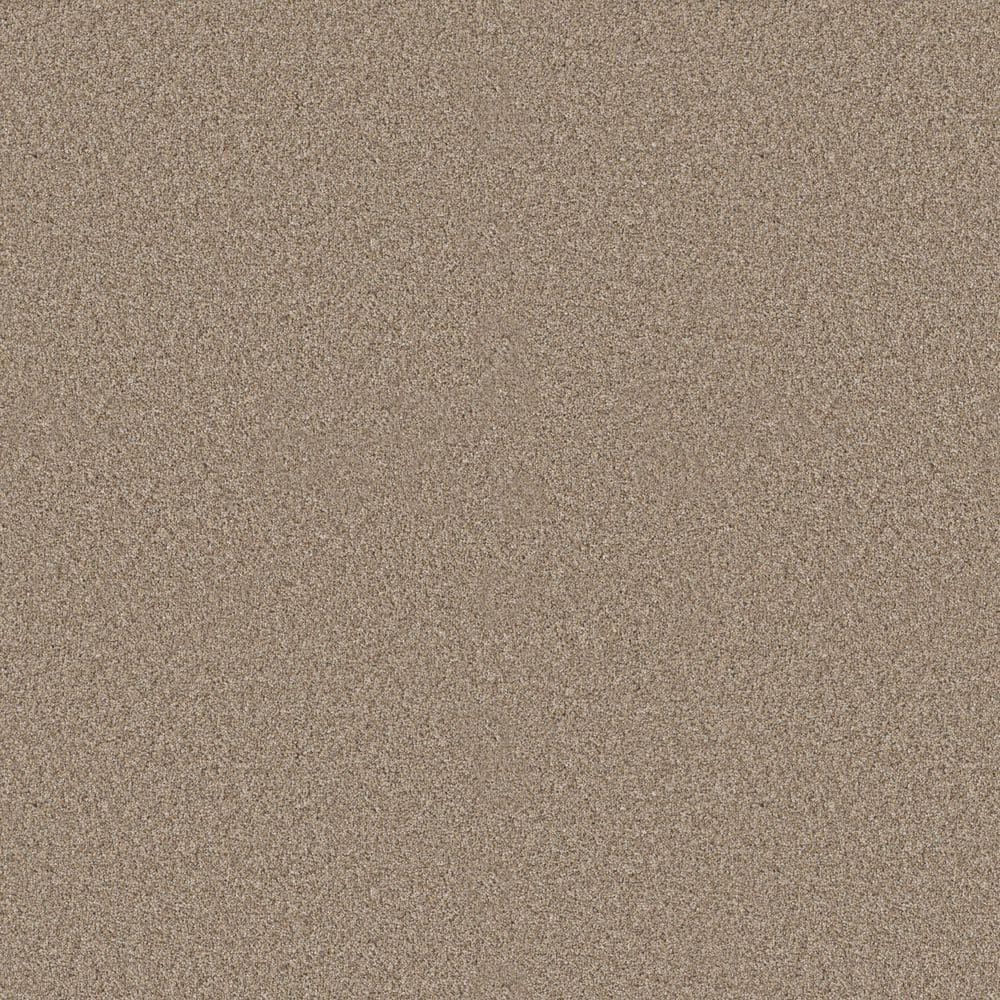 8 in. x 8 in. Texture Carpet Sample - Cuddle Cakes I - Color Manilla price history on PriceWatchPro