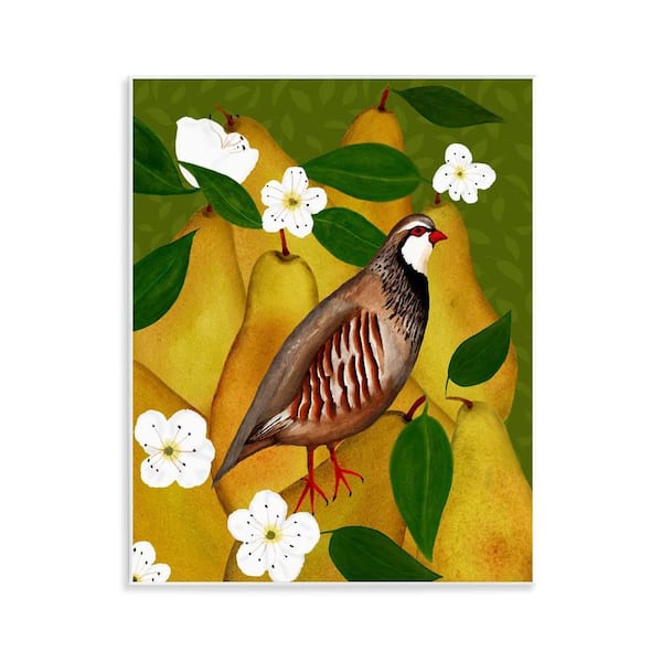 Stupell Industries Partridge Bird & Pears by Michelle Ingari Designs Unframed Food Graphic Art Print 14 in. x 11 in.