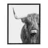 Highland Cow Wall Art Framed 12x16inch