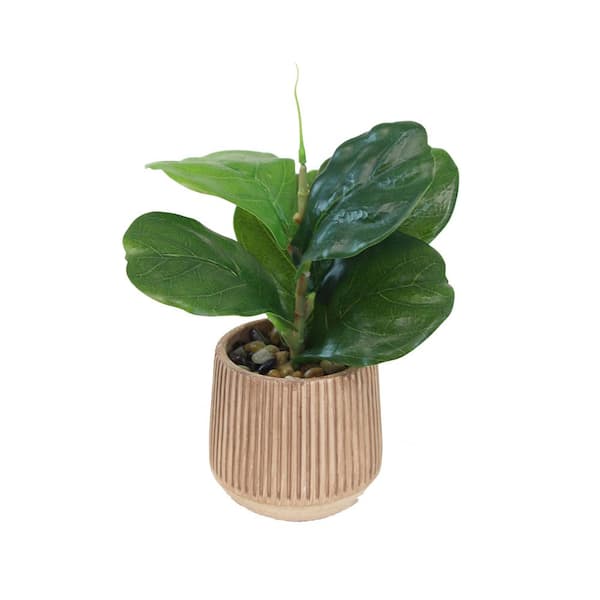 phoenix DECOR The Mod Greenhouse 11 in. Artificial Fiddle Leaf Fig in Cement Pot