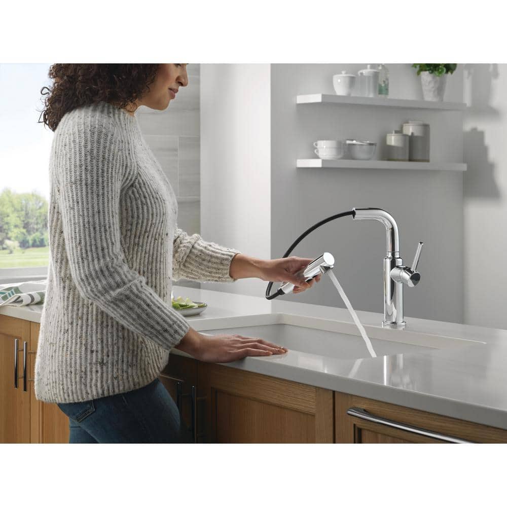 Daneri Chrome Pull-Out Sprayer Kitchen Faucet with Lever Handle