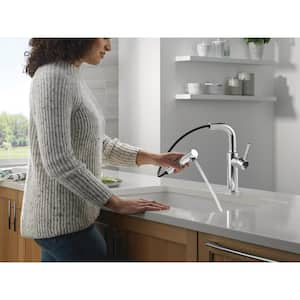 Daneri Single Handle Pull Out Sprayer Kitchen Faucet Deckplate Included in Chrome