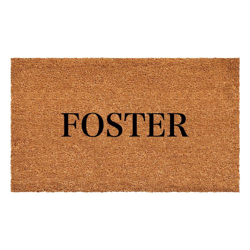 Bold Foster Multi-Colored 17 in. x 29 in. Indoor or Outdoor Doormat price history on PriceWatchPro