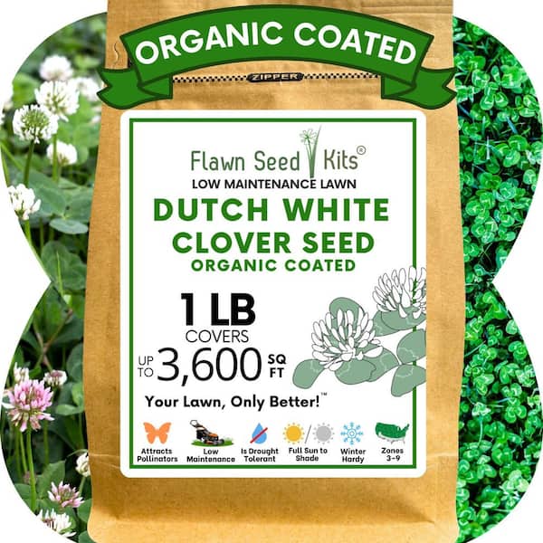 1LB White Dutch Clover, Organic Coated, Flowering Lawn Seed, Covers Up To 3,600 SqFt.