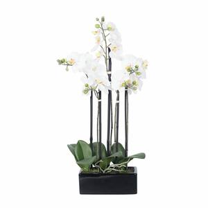 21 in. White Artificial Orchid Floral Arrangements in Pot
