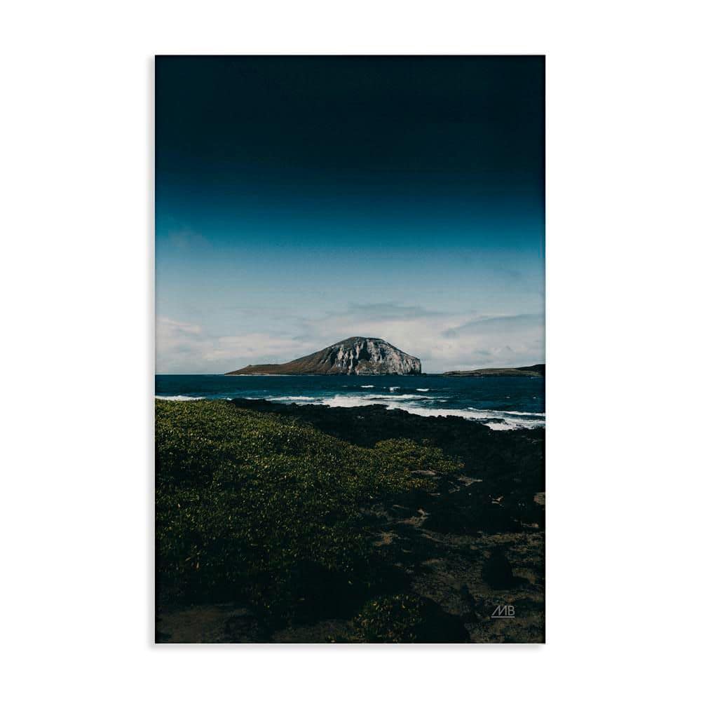 Hawaiian Rocky Shore by Max Blakesberg Studios Unframed Nature Graphic Art Print 45 in. x 30 in. price history on PriceWatchPro