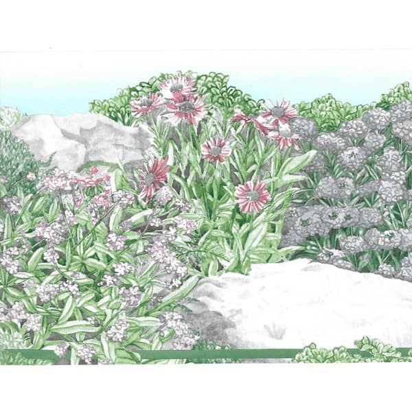 Dundee Deco Falkirk Brin Flowers, Stones Green, Beige, Pink Wallpaper Border