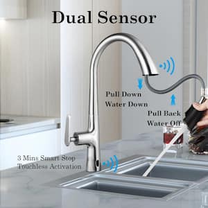 Single Handle Pull Down Sprayer Kitchen Faucet with Bubble Water, Hidden Pull-out Head in Brushed Nickel