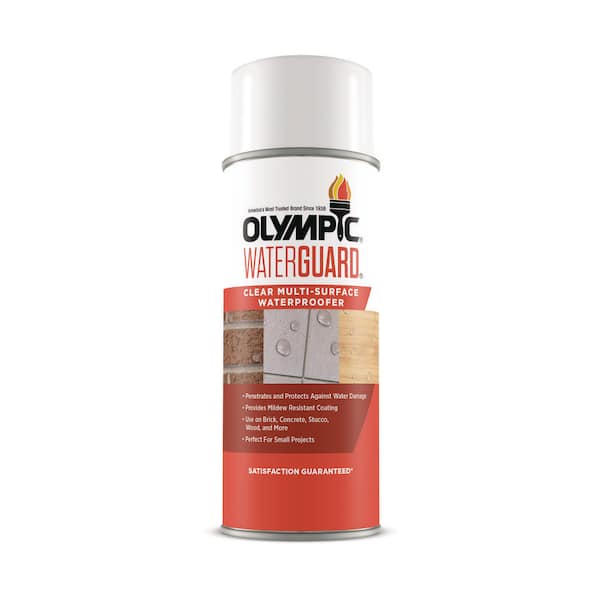 Waterguard 11 oz. Clear Multisurface Exterior Waterproofing Sealer Spray