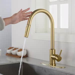 Single Handle Wall Mount Gooseneck Pull Down Sprayer Kitchen Faucet with Deckplate Included and Handle in Brushed Gold