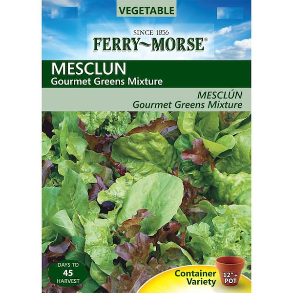 Mesclun Mix Vegetable Seed