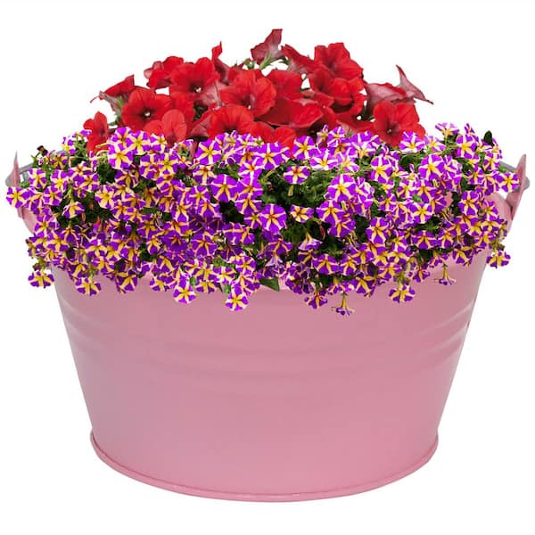 Sego Decorative Round Metal Buckets with Handles and Flower