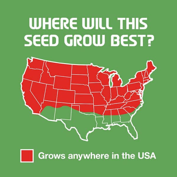 3 lbs. Tall Fescue Grass Seed Blend